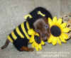    WWW.GOLDEN-TAX.NAROD.RU