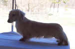   Stoneycreek Winter Romance/Romeo/