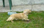   Stoneycreek Winter Romance/Romeo/