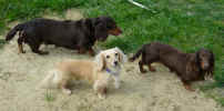   Stoneycreek Winter Romance/Romeo/
