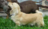   Stoneycreek Winter Romance/Romeo/