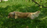   Stoneycreek Winter Romance/Romeo/
