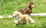   Stoneycreek Winter Romance/Romeo/