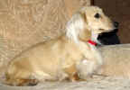  Stoneycreek Winter Romance/Romeo/