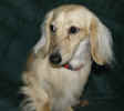   Stoneycreek Winter Romance/Romeo/