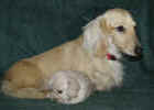   Stoneycreek Winter Romance/Romeo/    