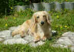   Stoneycreek Winter Romance/Romeo/