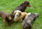   Stoneycreek Winter Romance/Romeo/