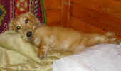   Stoneycreek Winter Romance/Romeo/