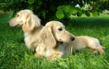   Stoneycreek Winter Romance/Romeo/    