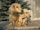   Stoneycreek Winter Romance/Romeo/    