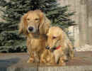  Stoneycreek Winter Romance/Romeo/    